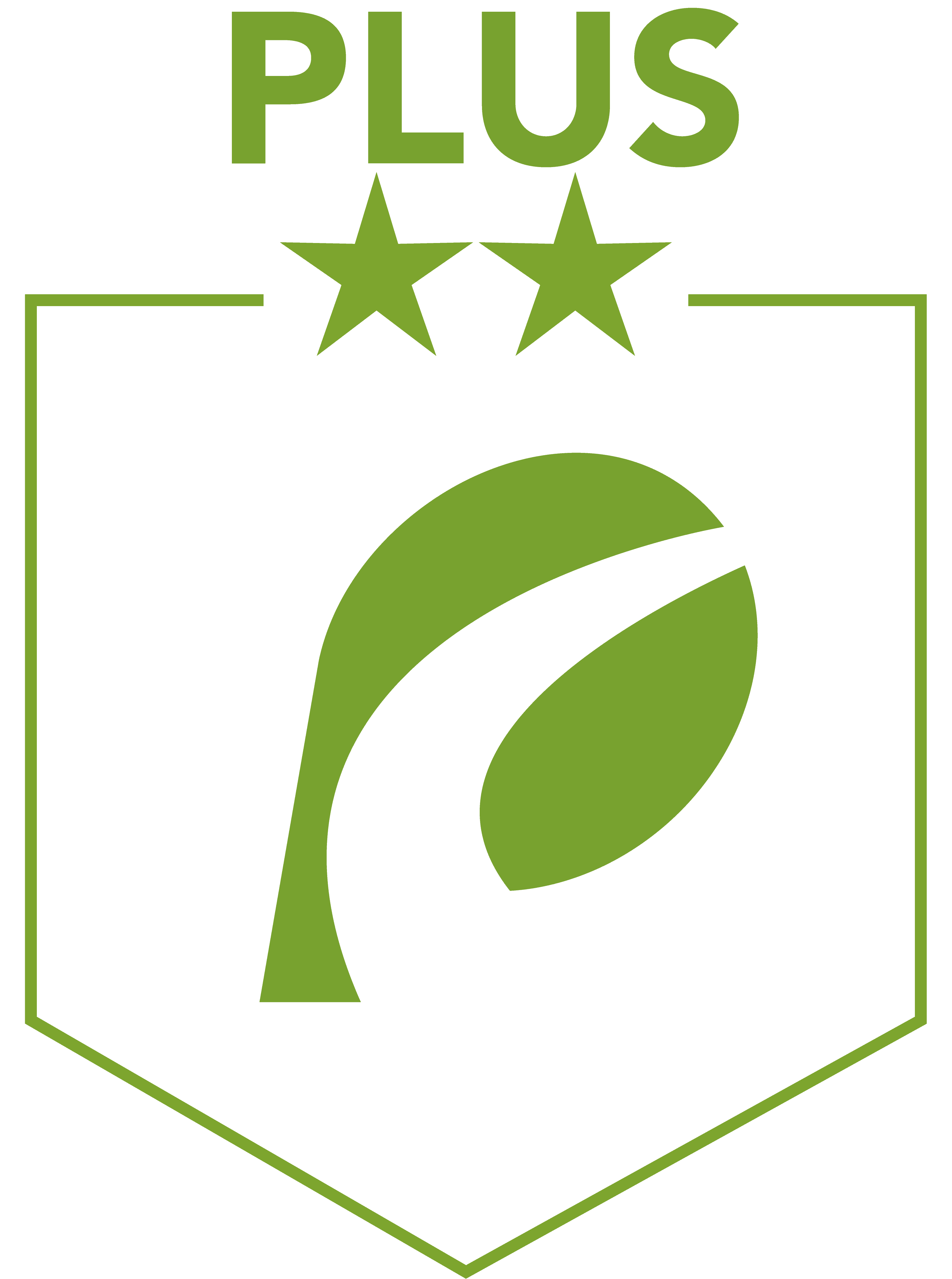 Plus dealer 2 star logo
