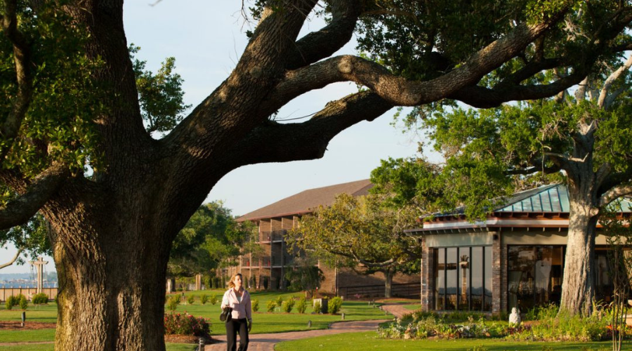 Fairhope Spotlight 4